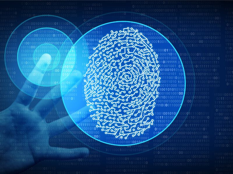 o que é biometria aplicação